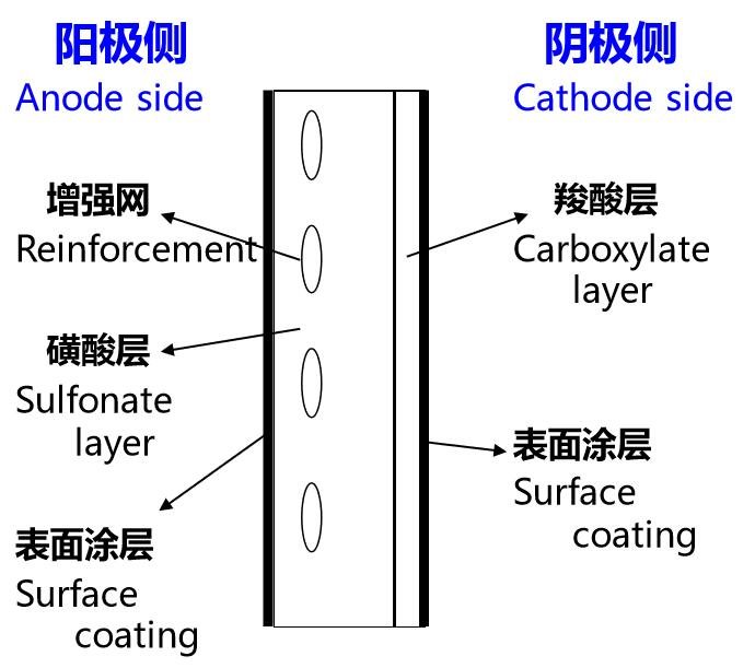 Chlor-alkali-Membrane